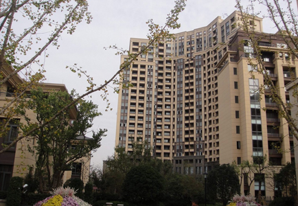 1604024462186261.jpg new_04.jpg