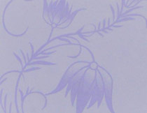 矽藻泥(ni)藝術塗料002