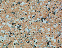 仿花(huā)崗岩塗料