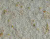 天(tiān)然岩石漆AC-905