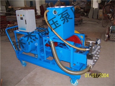 帶水箱移動式(shì)清洗泵